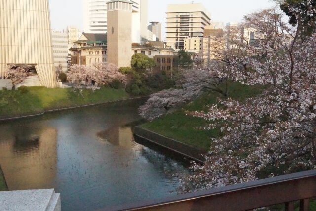 千鳥ヶ淵