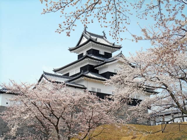 小峰城と桜