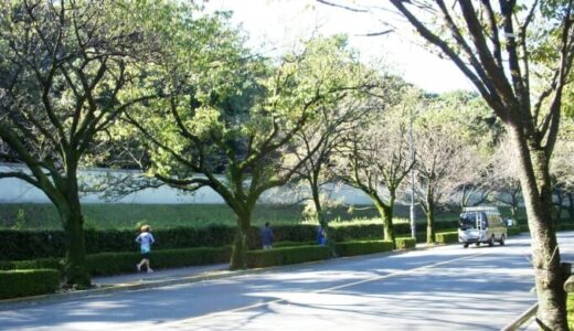 皇居ランのコース紹介！ランステ・周辺のおすすめスポット